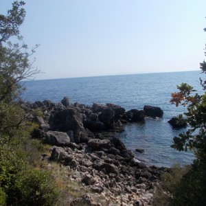 Řeckoo